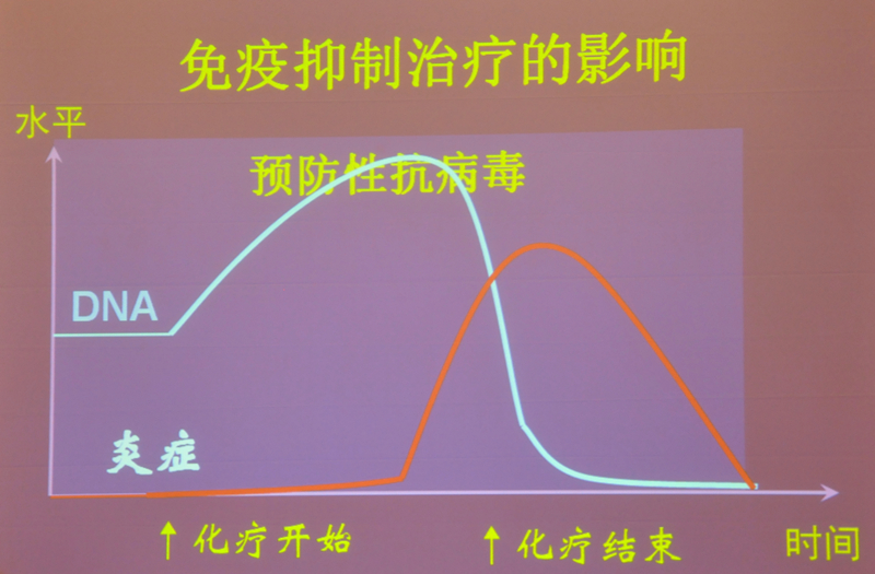 肝炎新進展揭秘，小巷深處的秘密小店探索