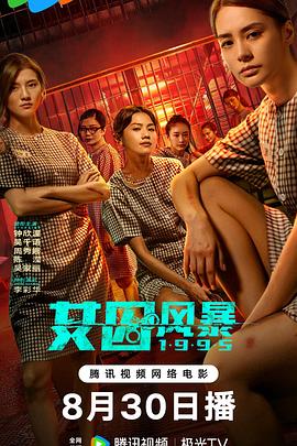 淘君爹最新影片，小巷深處的電影寶藏探索