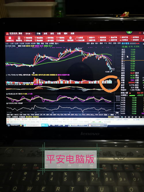 股票電腦版，開啟溫馨的股市之旅
