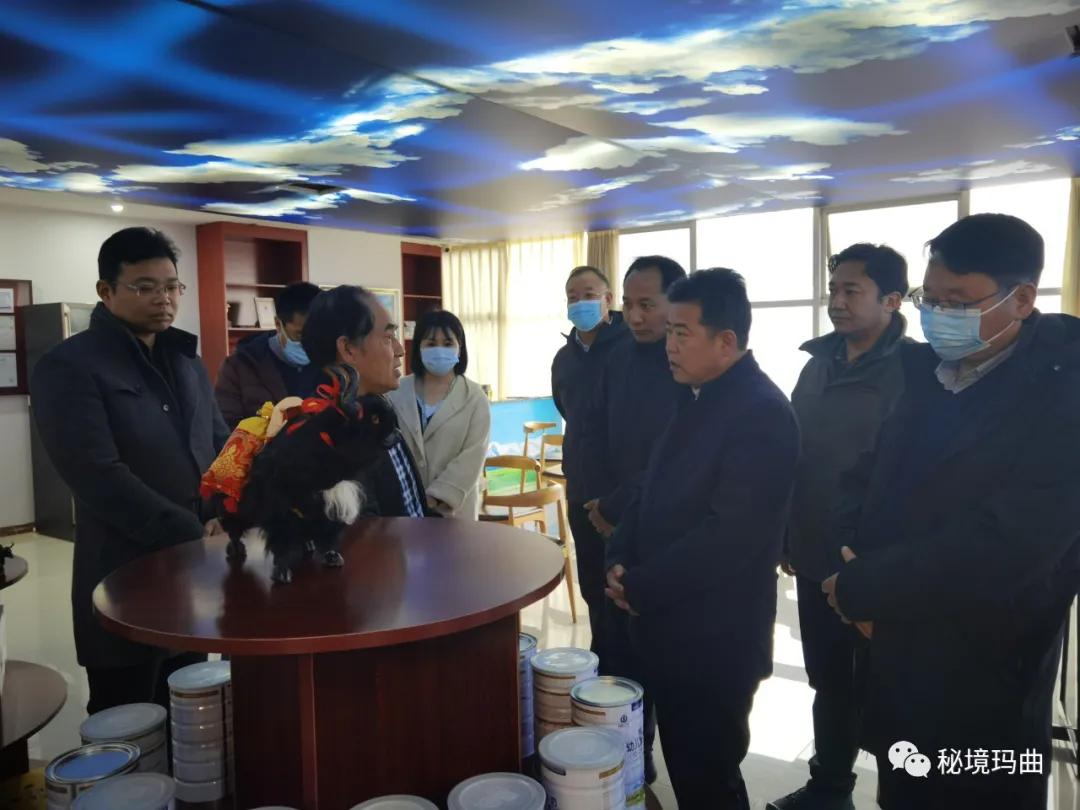 高原之寶上市，學(xué)習(xí)、蛻變與自信的輝煌之旅