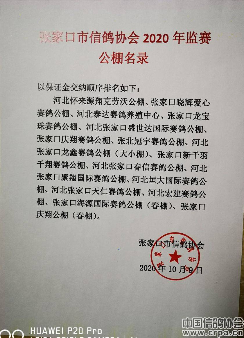 東光信鴿協(xié)會(huì)最新通告，小巷深處的獨(dú)特風(fēng)味揭秘與信鴿活動(dòng)更新通知