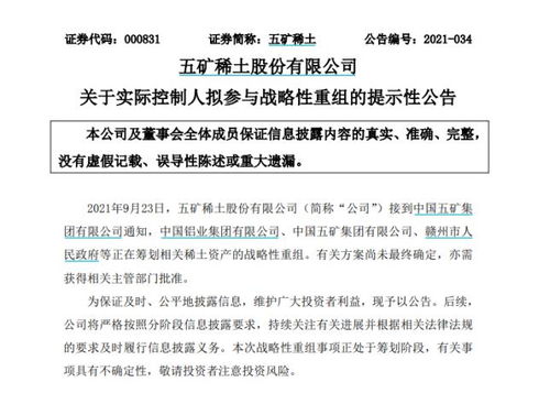 南方稀土股票，小巷中的隱秘寶藏，探索投資魅力的未知之旅