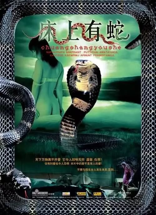 最新蛇片，蛻變的旅程，召喚自信與成就感的冒險(xiǎn)之旅