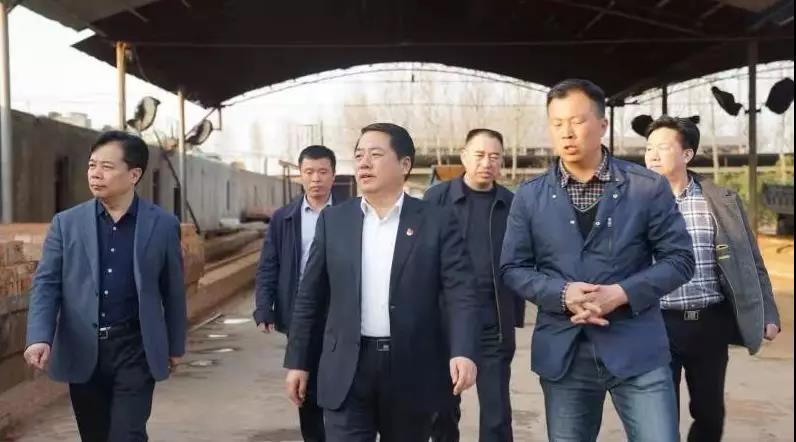 商丘王仲田最新動(dòng)態(tài)，探索自然美景的旅行，尋求內(nèi)心平和之旅