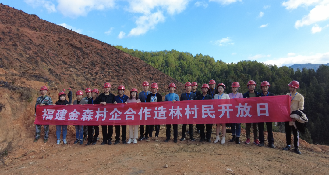 福建金森最新動態(tài)及相關觀點深度解析