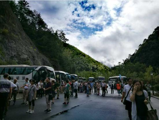 泰順高鐵最新動(dòng)態(tài)更新，最新消息一覽