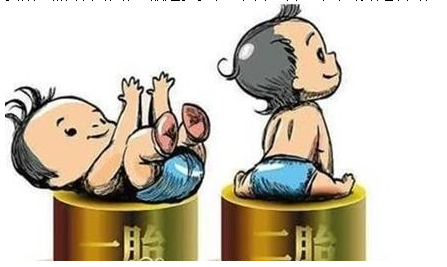 最新雙胞胎補(bǔ)助政策，攜手同行，助力孕育夢想之路