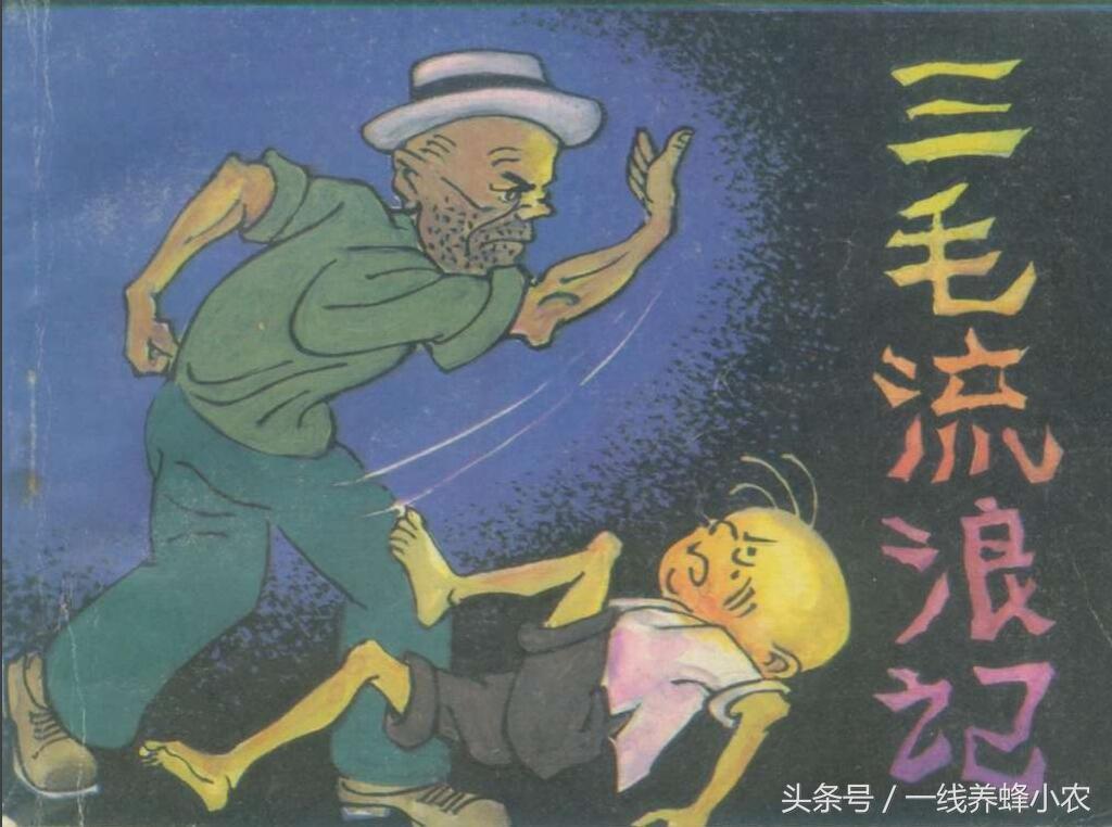 上海三毛最新動(dòng)態(tài)，自然美景探索之旅啟幕