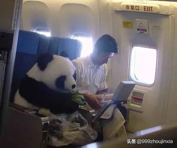 追逐變化之翼，學習鑄就自信與成就——虛幻最新探討