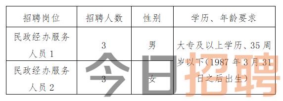 慶陽最新招聘揭秘，小巷中的特色小店，探索未知寶藏的職場之旅