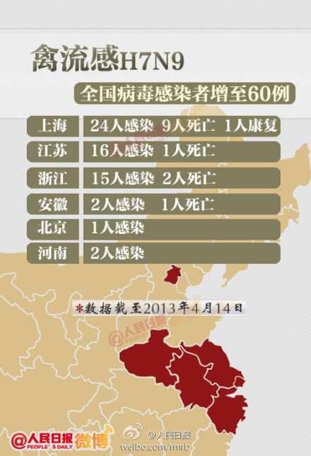 山東禽流感最新動(dòng)態(tài)，友情與陪伴的溫馨故事