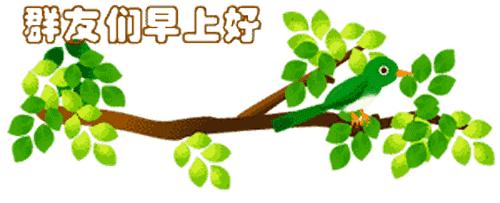 最新清晨祝福短信，晨曦中的溫暖問候，傳遞美好祝愿與關(guān)懷