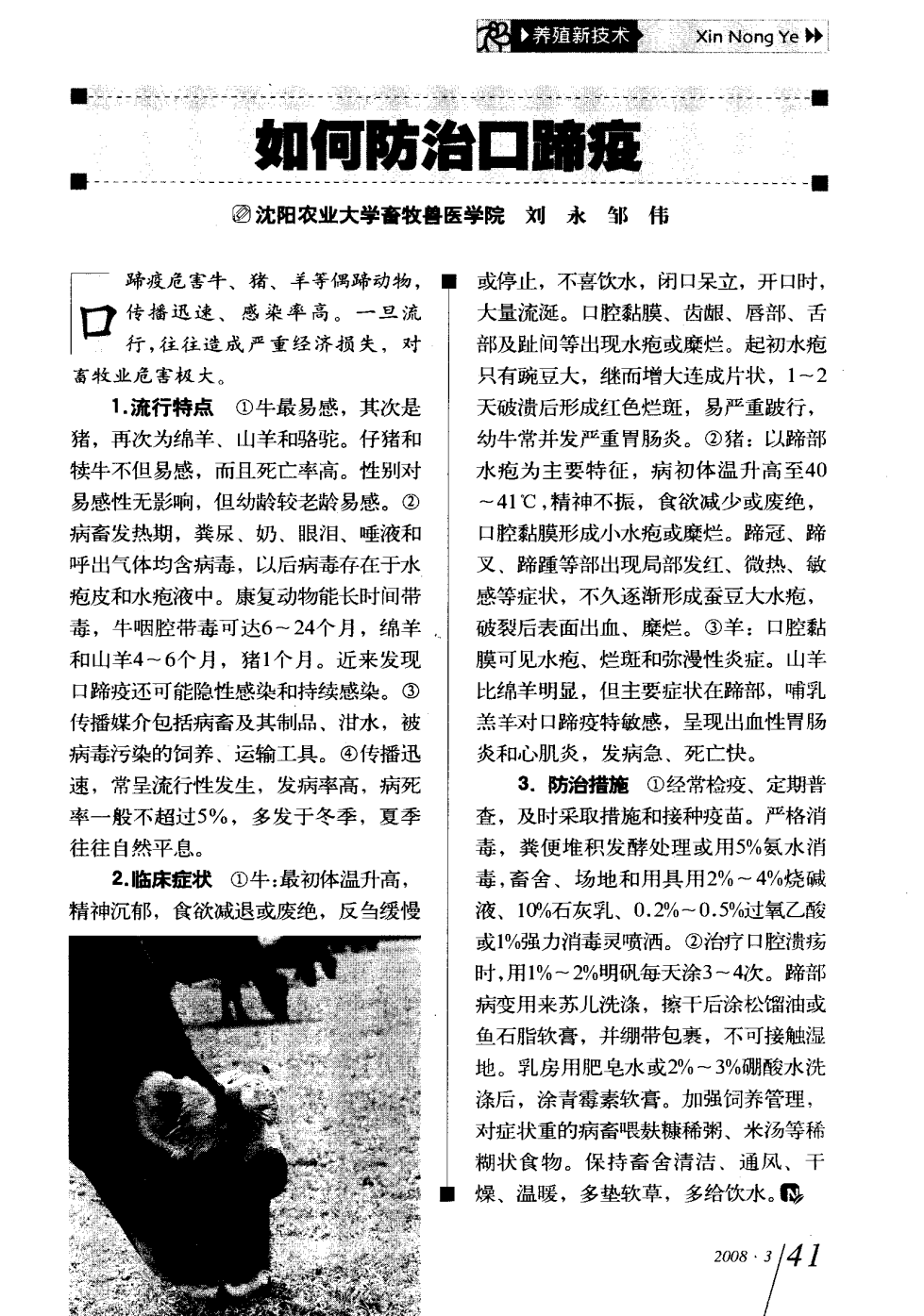 口蹄疫最新科研，自然探險(xiǎn)與內(nèi)心平和的追尋之旅