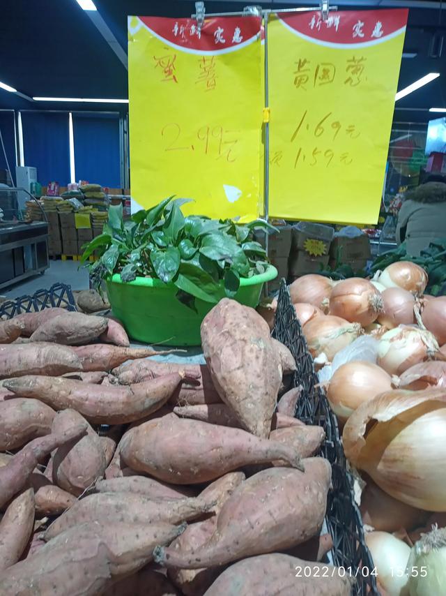 最新地瓜價(jià)格解析，查詢指南與任務(wù)攻略