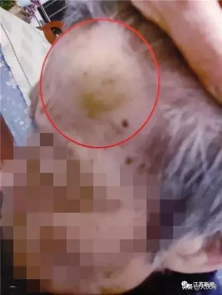 揪脖子最新視頻，探秘小巷風情小店，獨家揭秘！