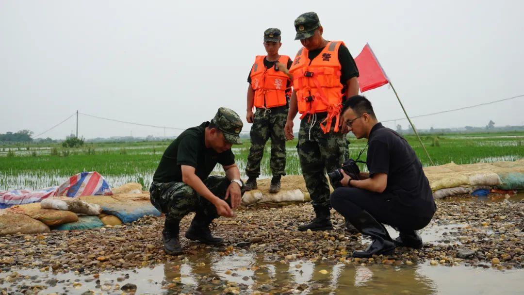永修最新聞，背景探尋與時代地位的重要事件回顧