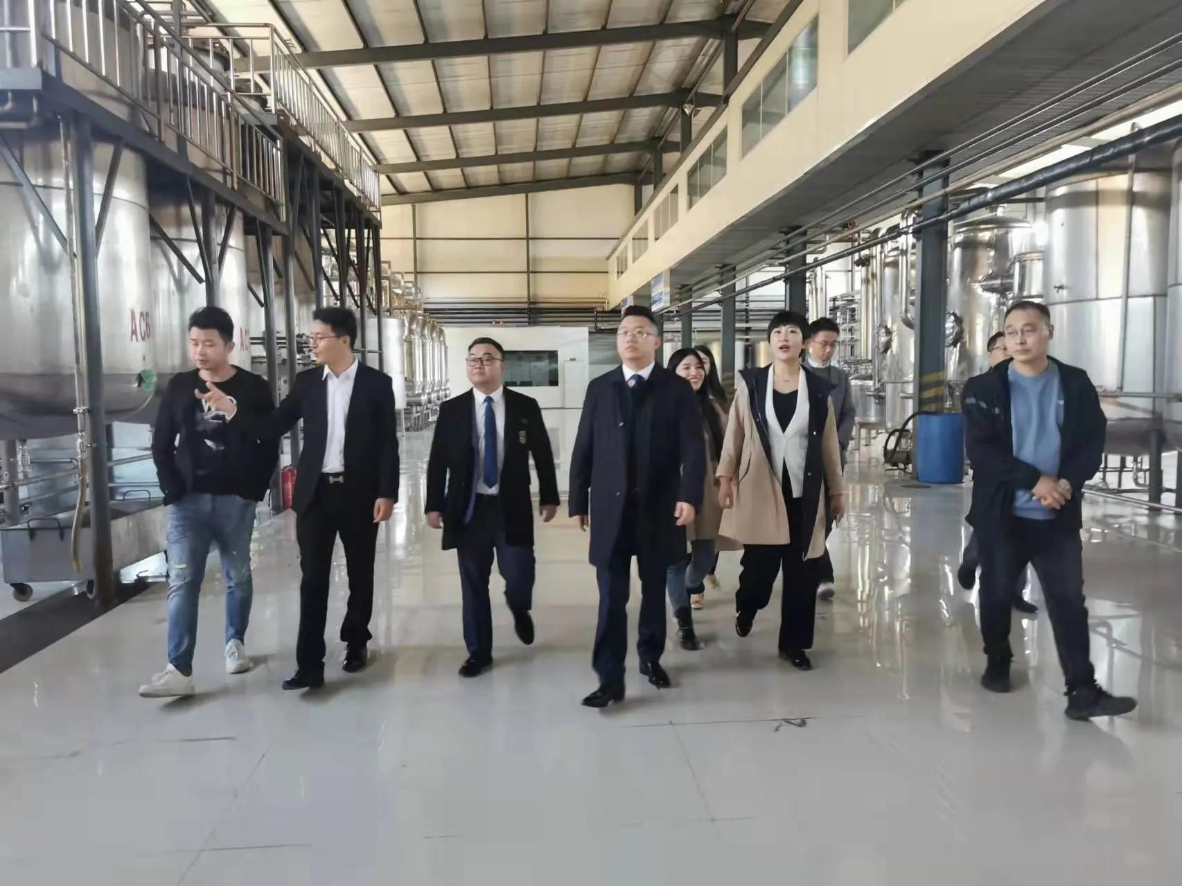 鼎恒升最新動態(tài)，追溯特定領域的發(fā)展歷程與重要地位