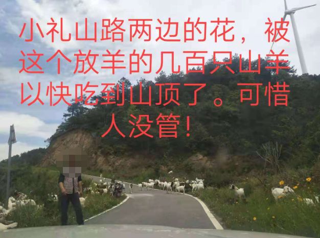 大悟最新路，探索未知，自信成就夢想之旅的啟程