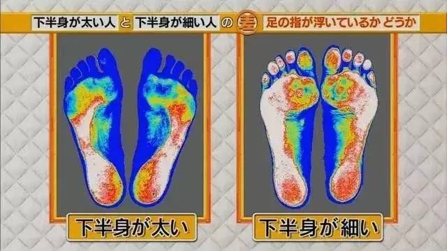 最新地趾論述，探索、爭議與觀點(diǎn)綜述
