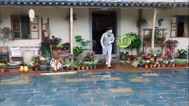 最新蘑菇屋，自然與生活完美融合的夢幻之地