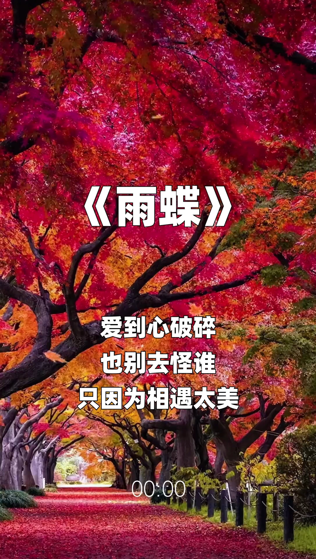 雨蝶最新步驟指南，如何完成任務或學習技能？