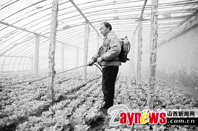 最新農(nóng)藥抽檢結(jié)果出爐，守護(hù)農(nóng)田安全，你我他的共同責(zé)任