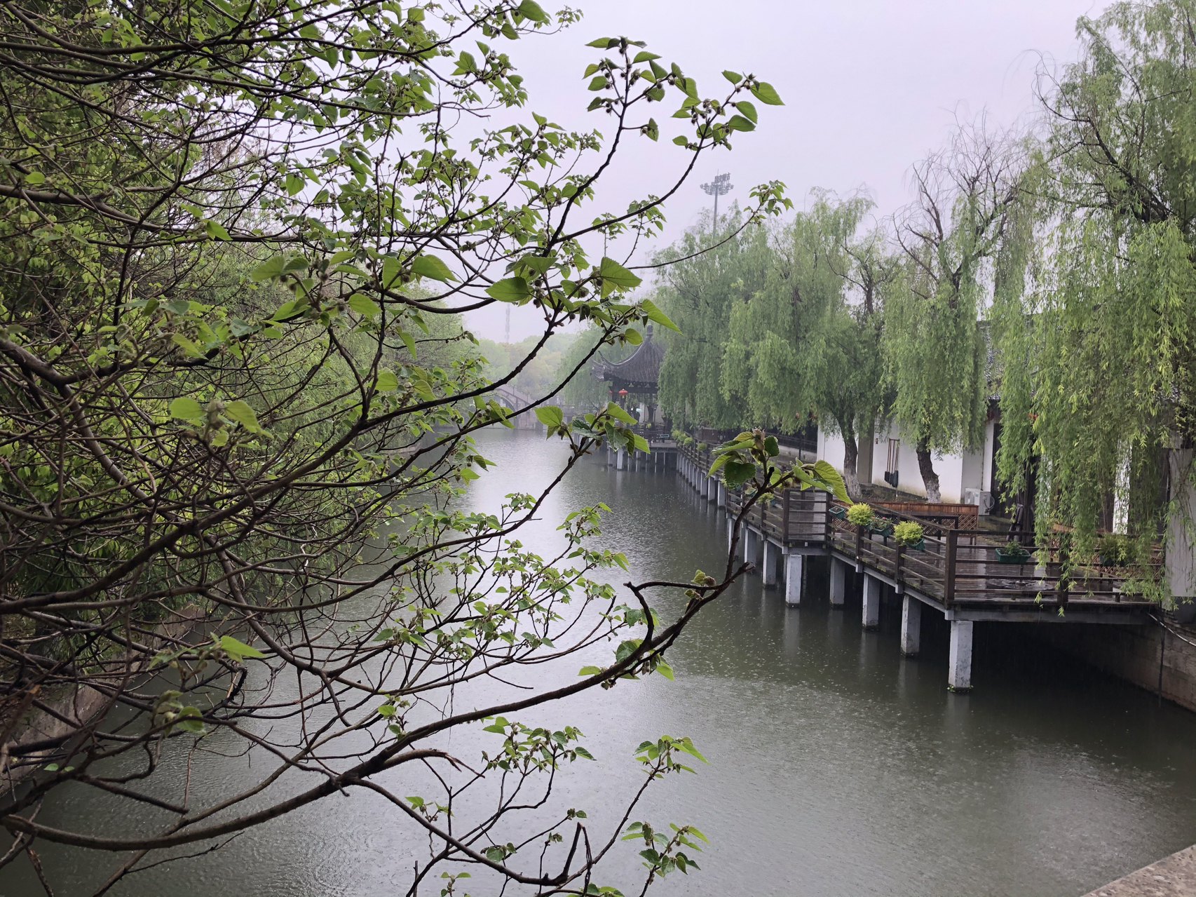 江南煙雨最新，自信與成就感的成長之旅