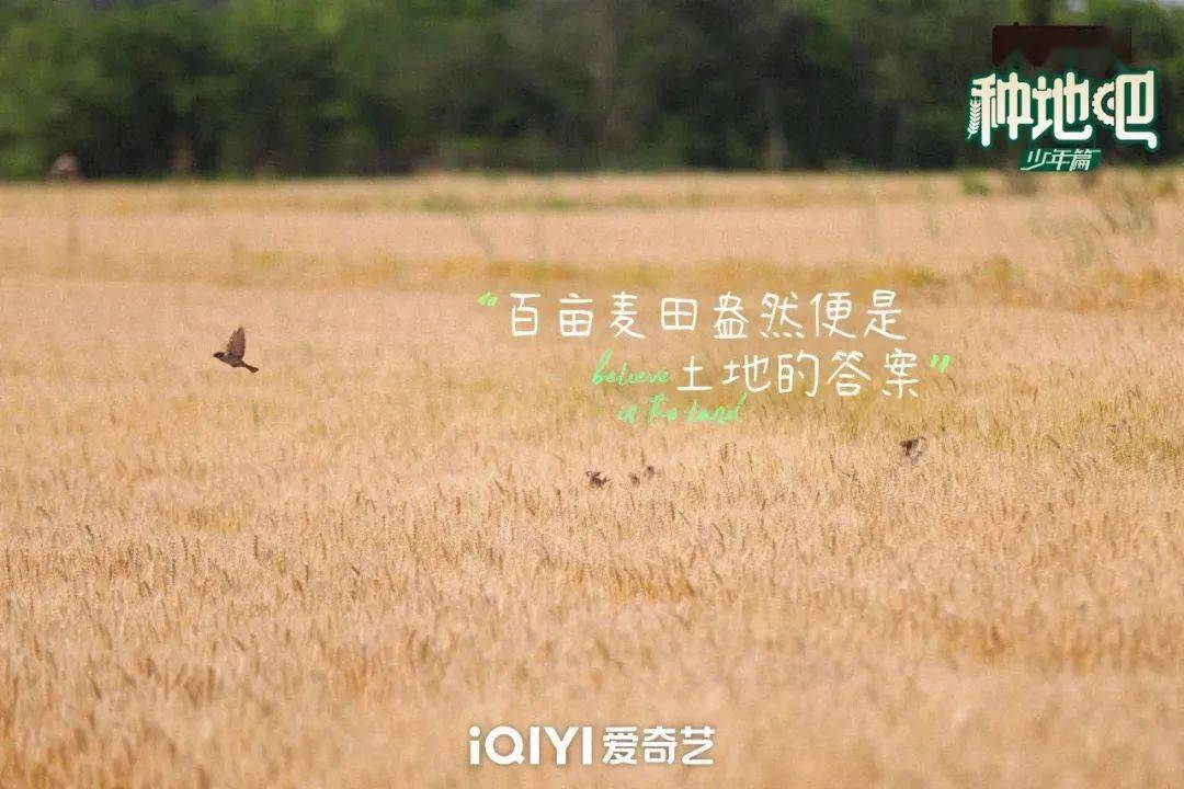 種地吧最新語(yǔ)錄，探索未來農(nóng)業(yè)的高科技魅力