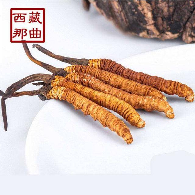 揭秘2025年蟲草最新價格，探尋小巷中的秘密行情！