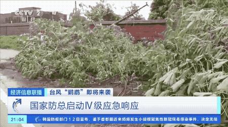 超強(qiáng)臺風(fēng)鸚鵡來襲，最新路徑動態(tài)全解析???
