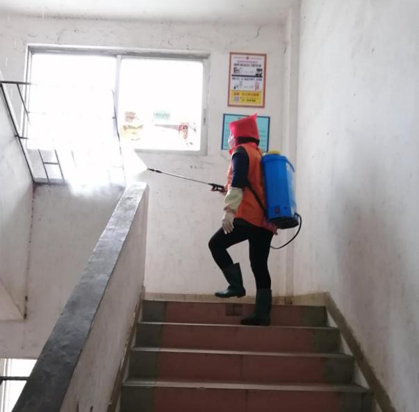 蓬江區(qū)最新高科技住宅，重塑未來生活體驗(yàn)的首選之地